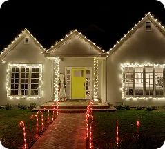 Cardianl-Lights-Lighting-Projects